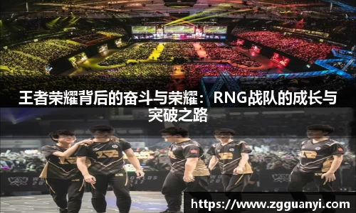 王者荣耀背后的奋斗与荣耀：RNG战队的成长与突破之路